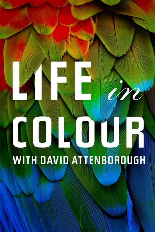 Attenborough’s Life in Colour : 1.Sezon 2.Bölüm İzle
