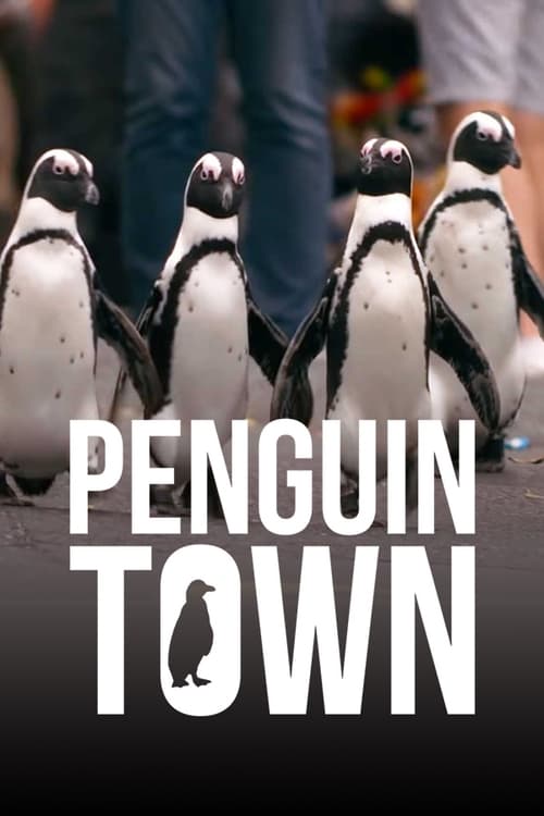 Penguin Town : 1.Sezon 8.Bölüm İzle