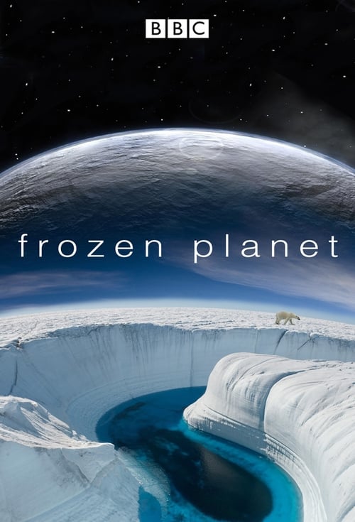 Frozen Planet : 1.Sezon 7.Bölüm İzle