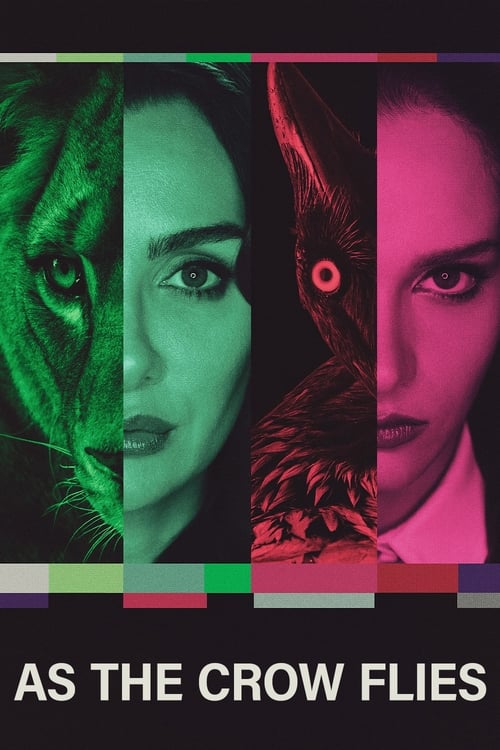 Kus uçusu : 2.Sezon 1.Bölüm İzle