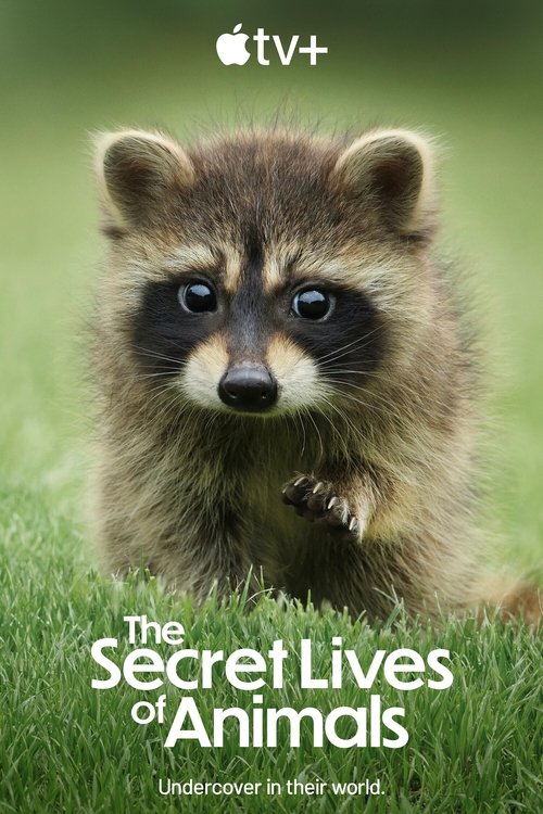 The Secret Lives of Animals : 1.Sezon 1.Bölüm İzle